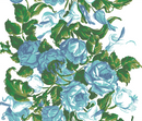 Saratoga Rose - Blue Wallpaper
