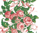 Saratoga Rose - Red