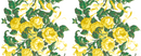 Saratoga Rose - Yellow