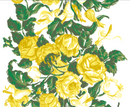 Saratoga Rose - Yellow Wallpaper