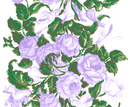 Saratoga Rose - Lilac Wallpaper