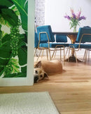 Brazilliance - Green Wallpaper