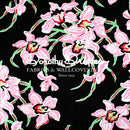 Akakina II - Black Wallpaper