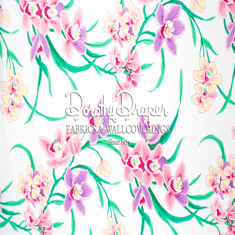 Cymbidium Orchid White Fabric