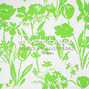 Les Fleures de Toulon Silhouette - Lime