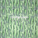 Strie Dance - Key Lime